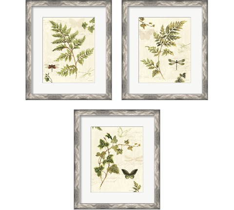 Ivies and Ferns 3 Piece Framed Art Print Set by Lisa Audit