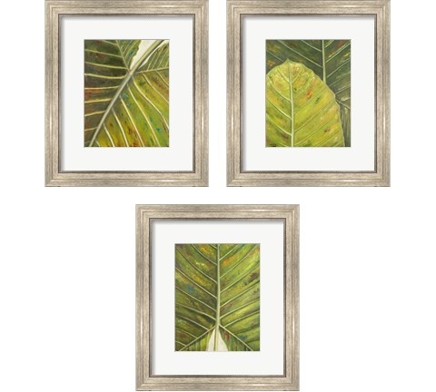 Green Zoom 3 Piece Framed Art Print Set by Patricia Pinto