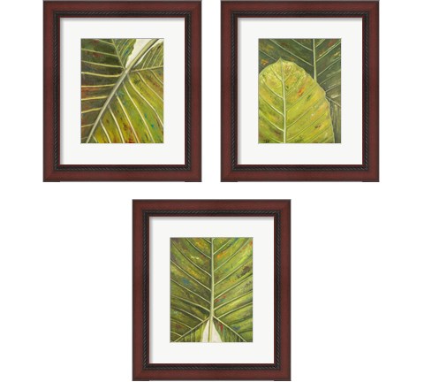 Green Zoom 3 Piece Framed Art Print Set by Patricia Pinto