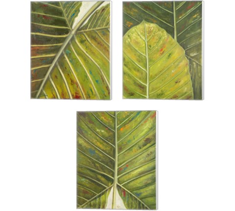 Green Zoom 3 Piece Canvas Print Set by Patricia Pinto