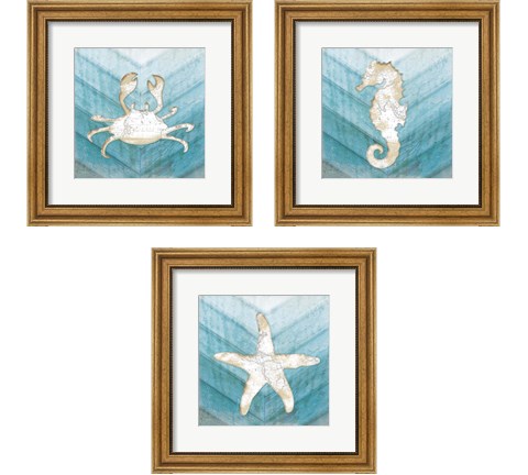 Coastal Sealife 3 Piece Framed Art Print Set by Jennifer Pugh