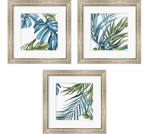 Palm Leaves 3 Piece Framed Art Print Set by Eva Watts