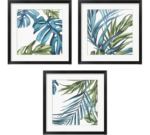 Palm Leaves 3 Piece Framed Art Print Set by Eva Watts