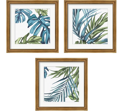Palm Leaves 3 Piece Framed Art Print Set by Eva Watts