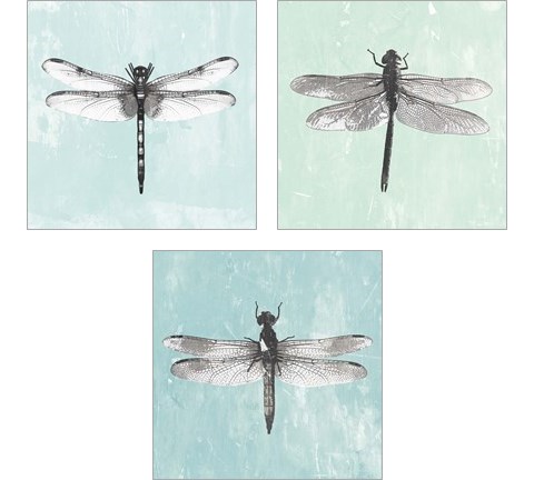 Dragonfly  3 Piece Art Print Set by PI Galerie