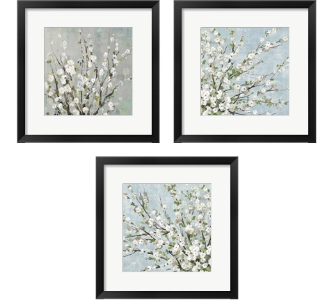 Fresh Pale Blooms 3 Piece Framed Art Print Set by Asia Jensen