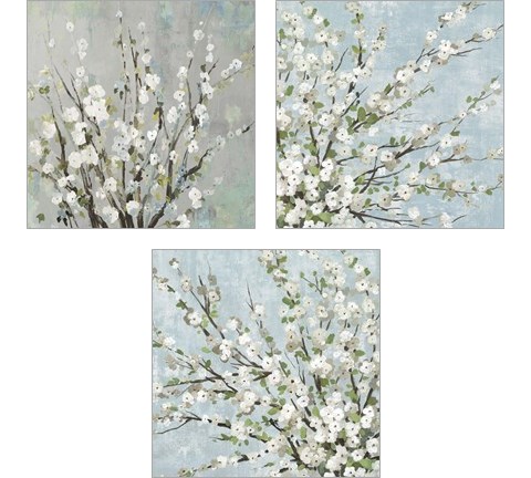 Fresh Pale Blooms 3 Piece Art Print Set by Asia Jensen