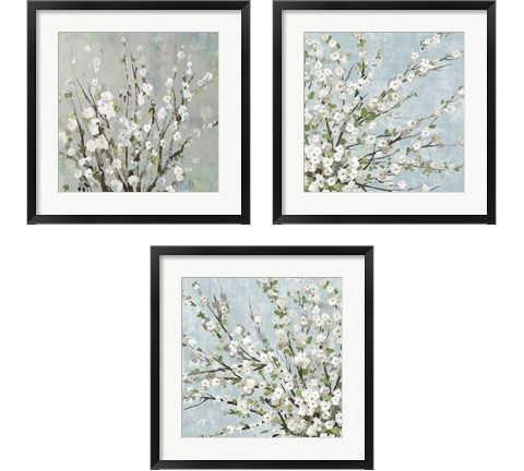 Fresh Pale Blooms 3 Piece Framed Art Print Set by Asia Jensen