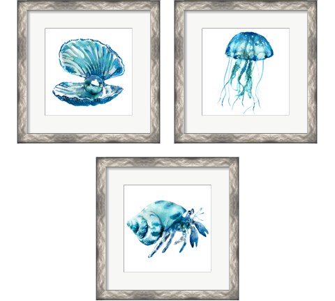 SeaLife 3 Piece Framed Art Print Set by Edward Selkirk