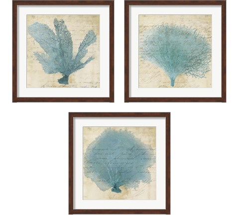 Blue Coral 3 Piece Framed Art Print Set by Posters International Studio