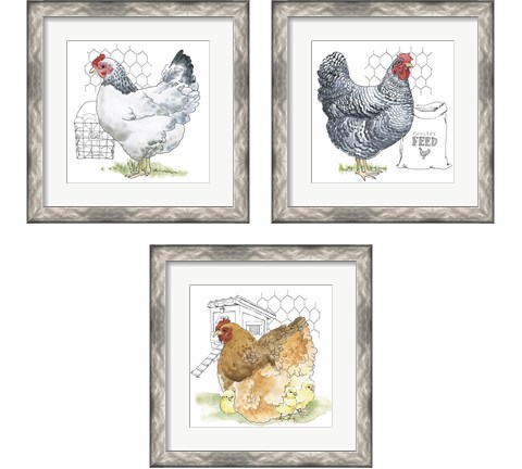 Fun at the Coop 3 Piece Framed Art Print Set by Beth Grove
