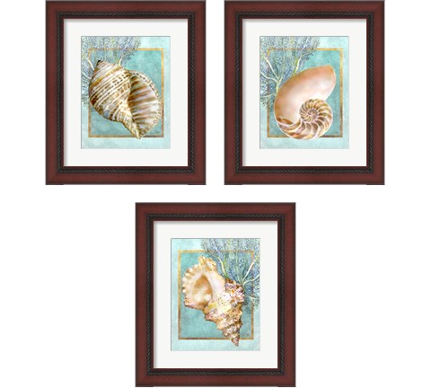 Shells and Coral 3 Piece Framed Art Print Set by Lori Shory