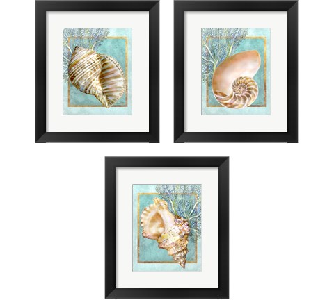 Shells and Coral 3 Piece Framed Art Print Set by Lori Shory
