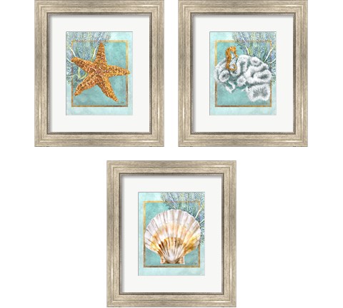 Coral and Seahorse 3 Piece Framed Art Print Set by Lori Shory