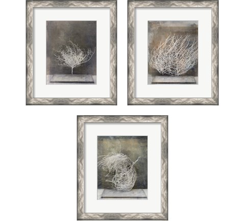 Desert Form 3 Piece Framed Art Print Set by Elena Ray