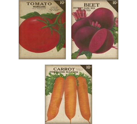 Heirloom Variety 3 Piece Art Print Set by Jarman Fagalde