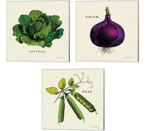 Linen Vegetable 3 Piece Canvas Print Set by Studio Mousseau