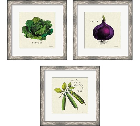 Linen Vegetable 3 Piece Framed Art Print Set by Studio Mousseau