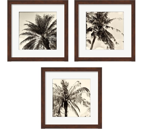 Palm Tree Sepia 3 Piece Framed Art Print Set by Debra Van Swearingen