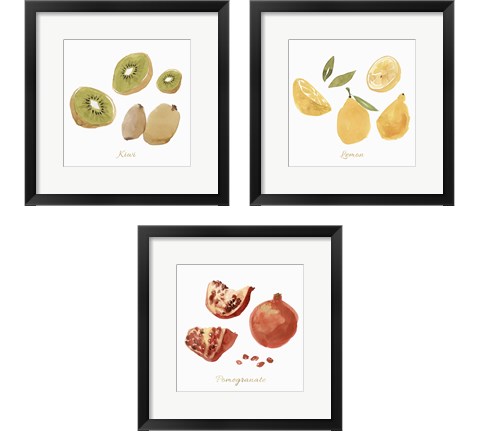 Fruit 3 Piece Framed Art Print Set by Isabelle Z