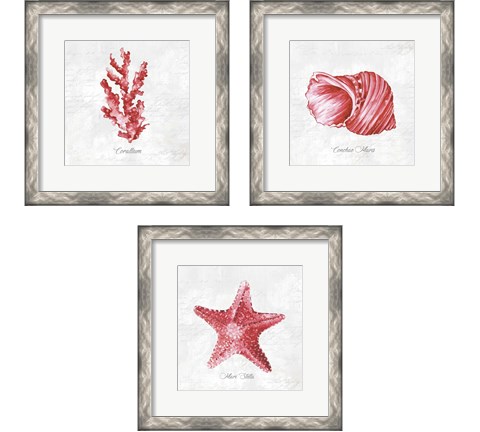 Red Sea Life 3 Piece Framed Art Print Set by Eva Watts