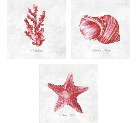 Red Sea Life 3 Piece Art Print Set by Eva Watts