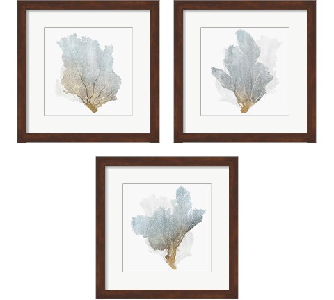 Delicate Coral  3 Piece Framed Art Print Set by Isabelle Z