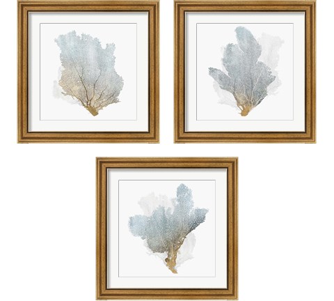 Delicate Coral  3 Piece Framed Art Print Set by Isabelle Z