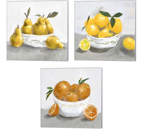 Fruit Bowl 3 Piece Canvas Print Set by Isabelle Z