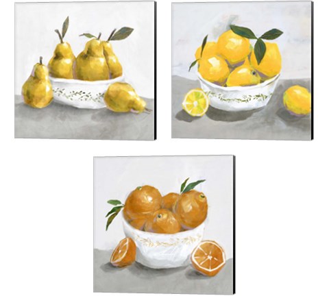 Fruit Bowl 3 Piece Canvas Print Set by Isabelle Z