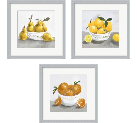 Fruit Bowl 3 Piece Framed Art Print Set by Isabelle Z