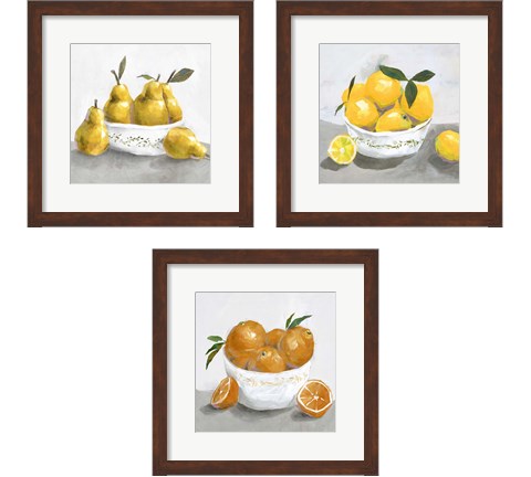Fruit Bowl 3 Piece Framed Art Print Set by Isabelle Z