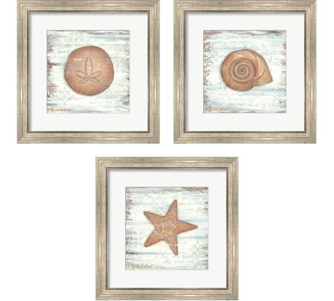 Ocean Sea Life 3 Piece Framed Art Print Set by Annie Lapoint