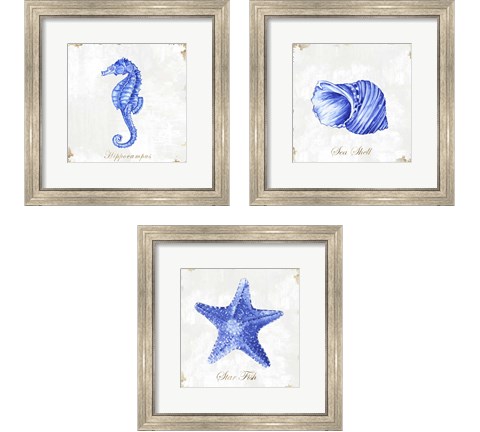 Blue Sea Life 3 Piece Framed Art Print Set by Eva Watts