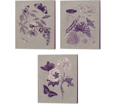 Nature Study in Plum & Taupe 3 Piece Canvas Print Set by Maria Sibylla Merian
