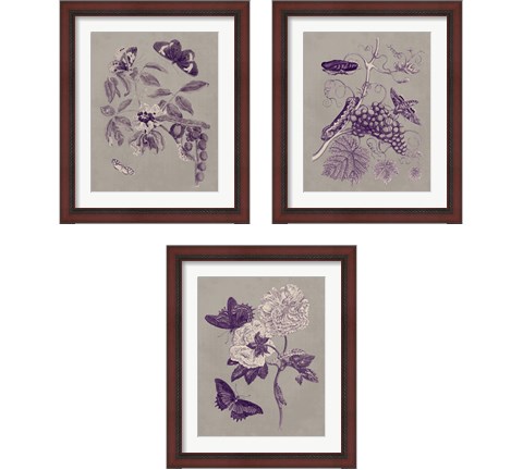 Nature Study in Plum & Taupe 3 Piece Framed Art Print Set by Maria Sibylla Merian