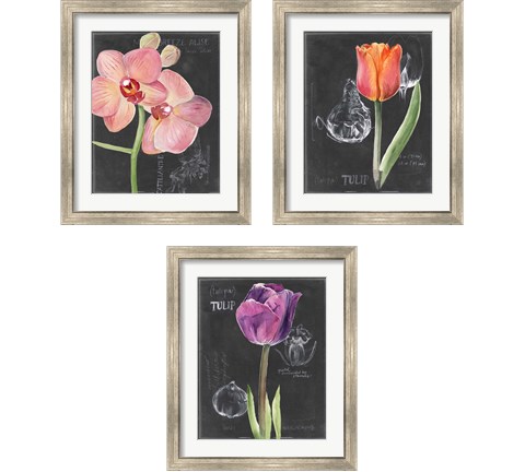 Chalkboard Flower 3 Piece Framed Art Print Set by Jennifer Parker