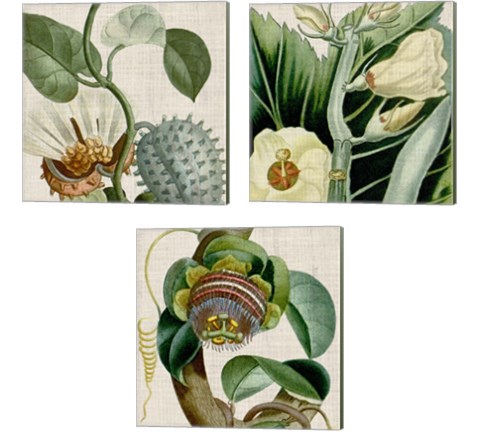 Cropped Turpin Tropicals 3 Piece Canvas Print Set by Vision Studio