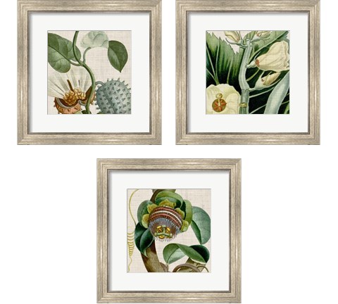 Cropped Turpin Tropicals 3 Piece Framed Art Print Set by Vision Studio