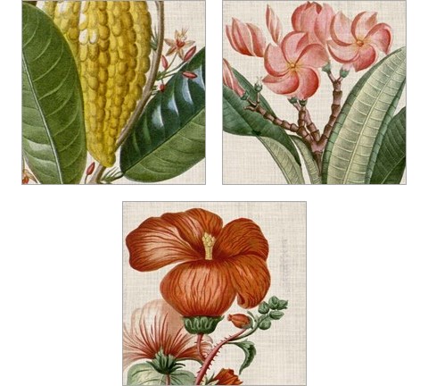 Cropped Turpin Tropicals 3 Piece Art Print Set by Vision Studio