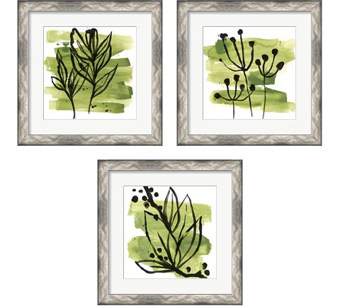 Tropical Sumi-e 3 Piece Framed Art Print Set by June Erica Vess