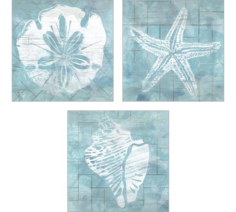 Cerulean Shell 3 Piece Art Print Set by June Erica Vess
