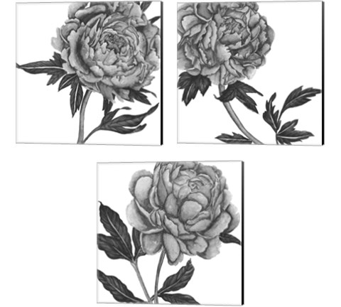 Flowers in Grey 3 Piece Canvas Print Set by Melissa Wang