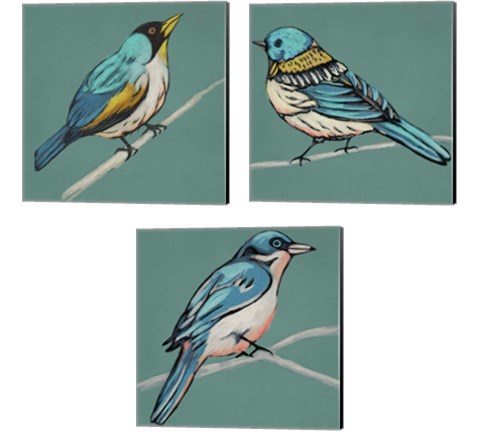 Winged Sketch on Teal 3 Piece Canvas Print Set by Chariklia Zarris