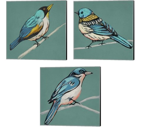 Winged Sketch on Teal 3 Piece Canvas Print Set by Chariklia Zarris