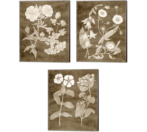 Botanical in Taupe 3 Piece Canvas Print Set by Vision Studio