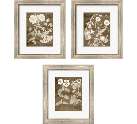 Botanical in Taupe 3 Piece Framed Art Print Set by Vision Studio