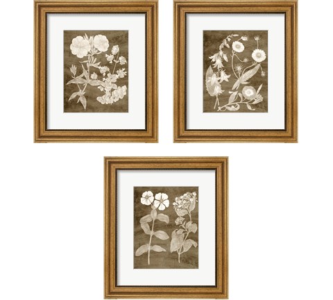 Botanical in Taupe 3 Piece Framed Art Print Set by Vision Studio