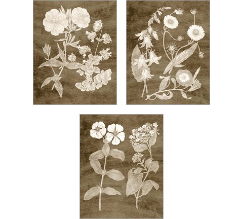 Botanical in Taupe 3 Piece Art Print Set by Vision Studio