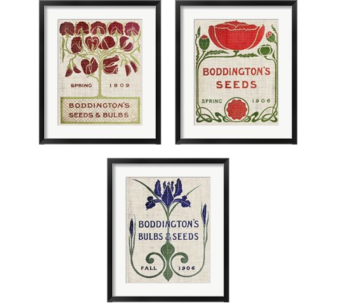 Flower Seed Packs 3 Piece Framed Art Print Set by Vision Studio